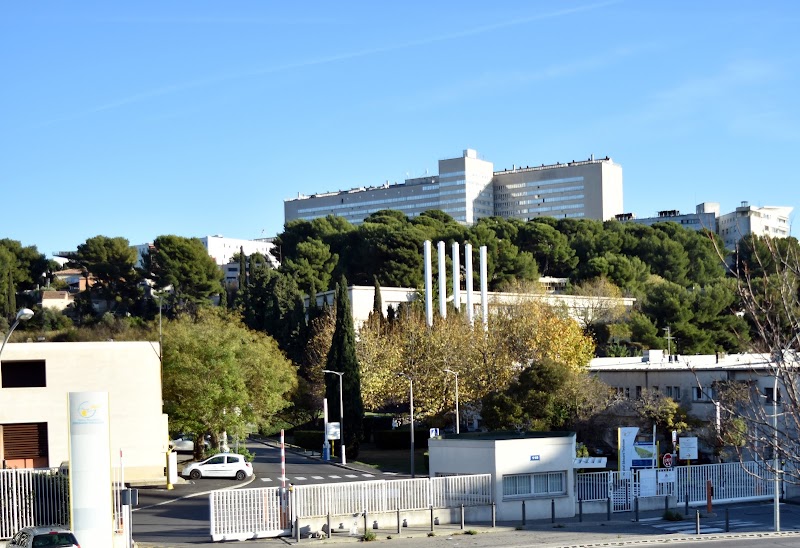 CHS EDOUARD TOULOUSE