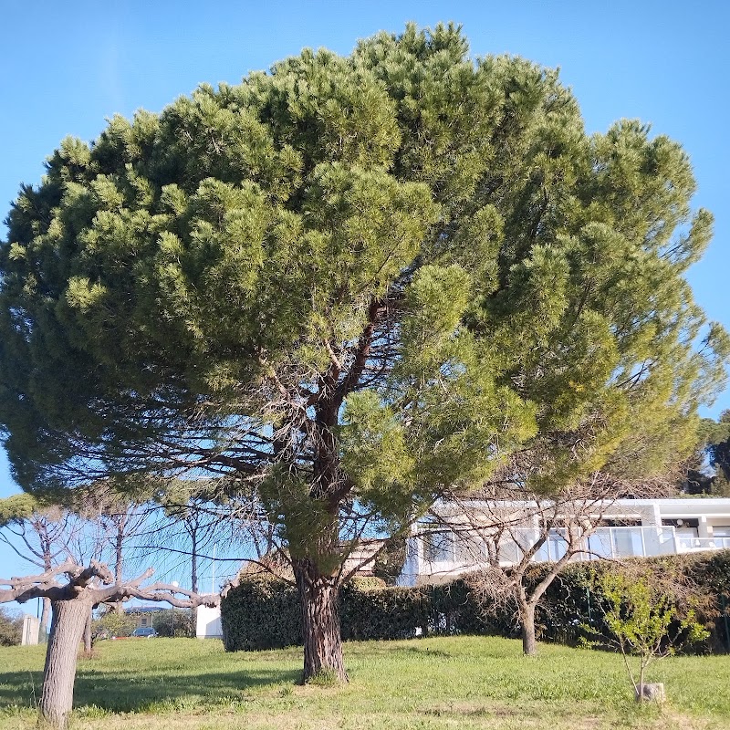 CHS VALVERT MARSEILLE