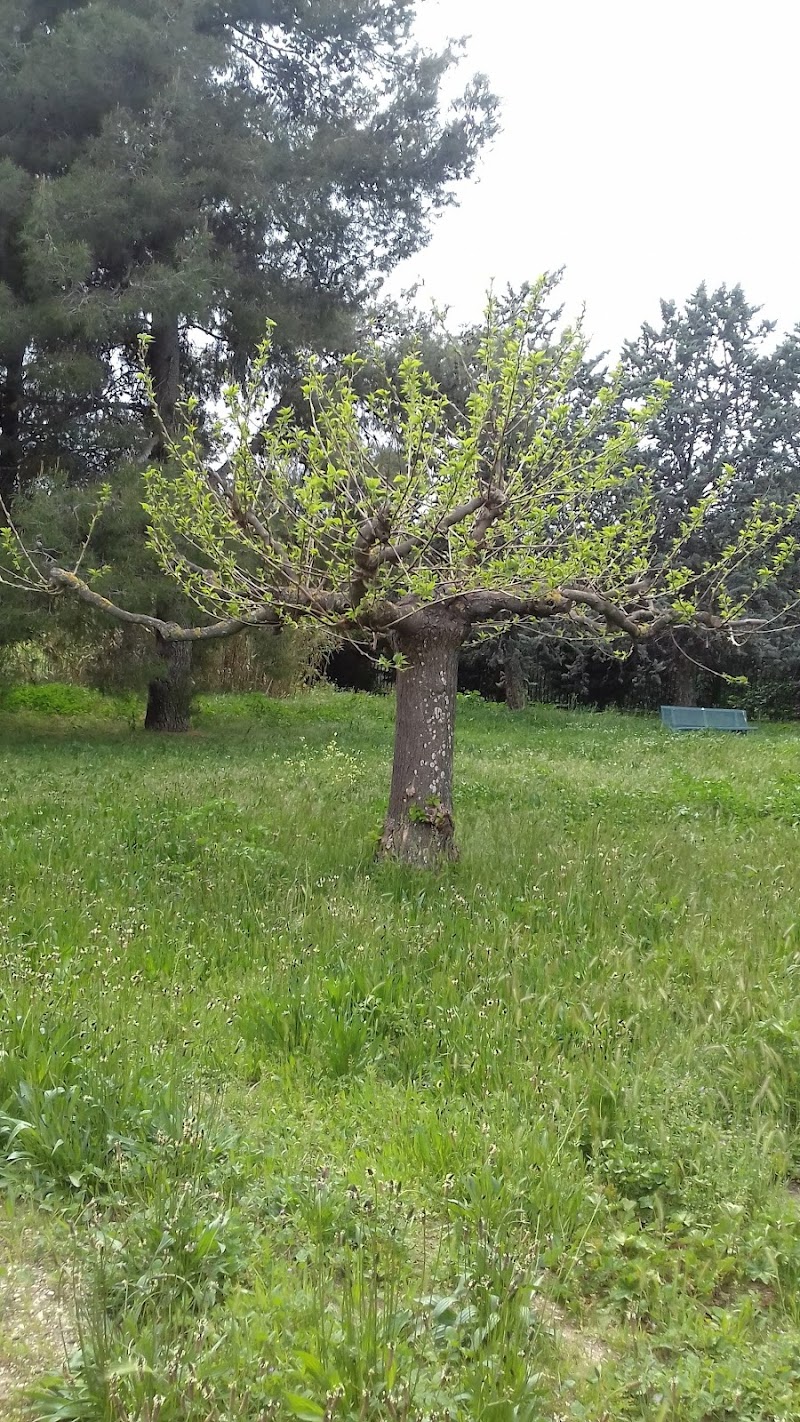 CHS VALVERT MARSEILLE