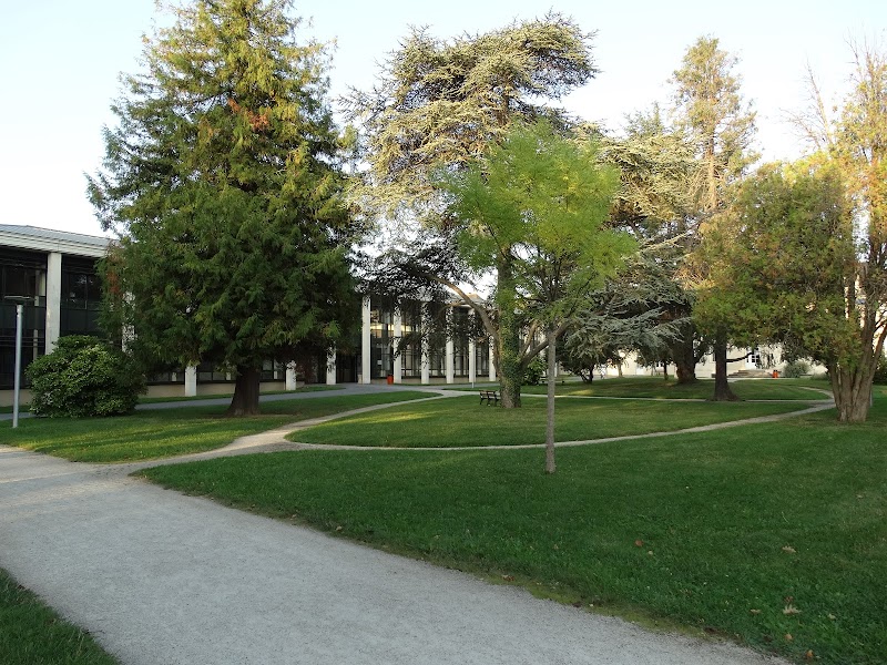 ETS PUBLIC DE SANTE MENTALE