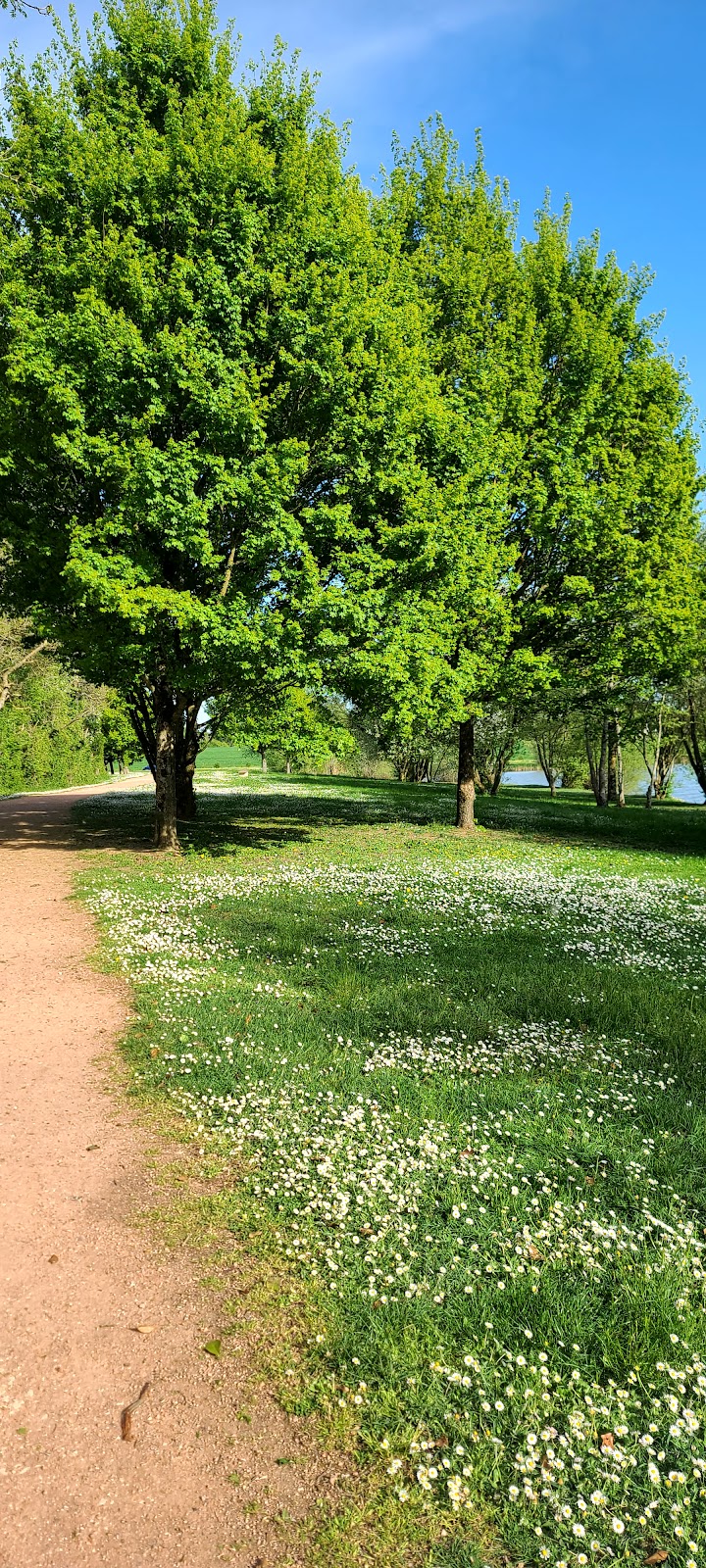 HJ ADULTES LOUISE MICHEL