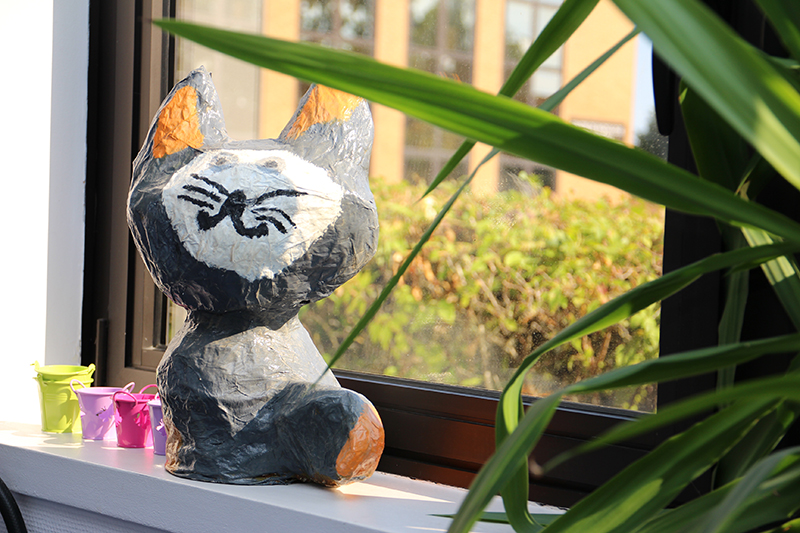 CENTRE MEDICO PSYCHOLOGIQUE — vue