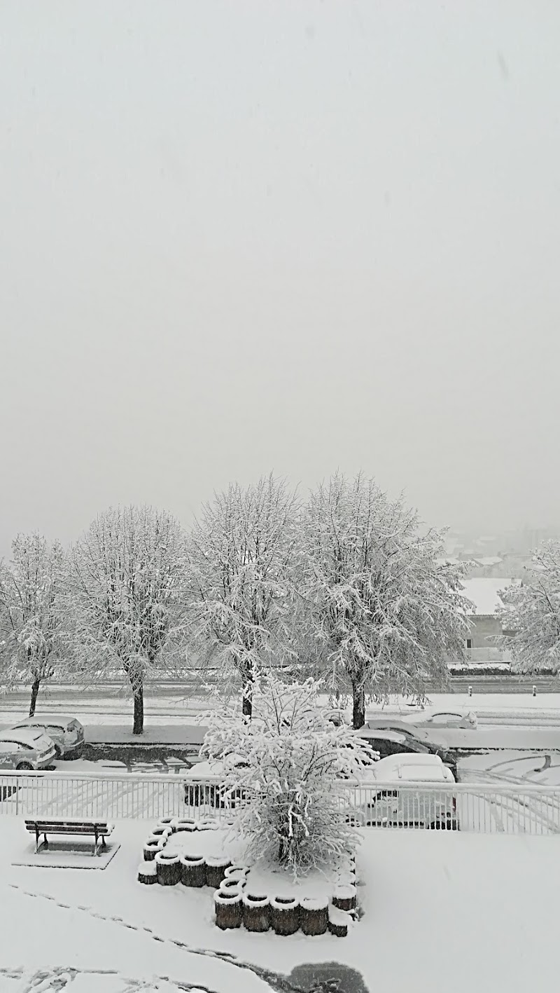 HDJ ADULTE ROMANS ZOLA