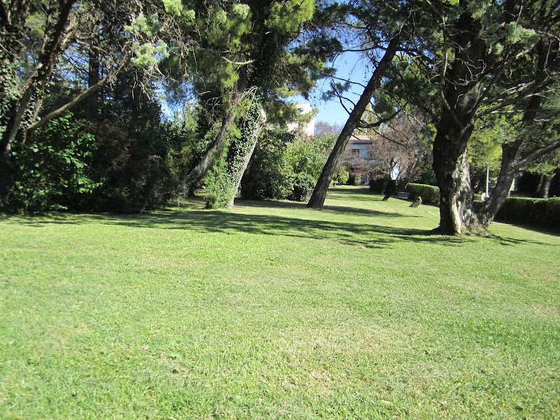 CHS LE MAS CAREIRON UZES