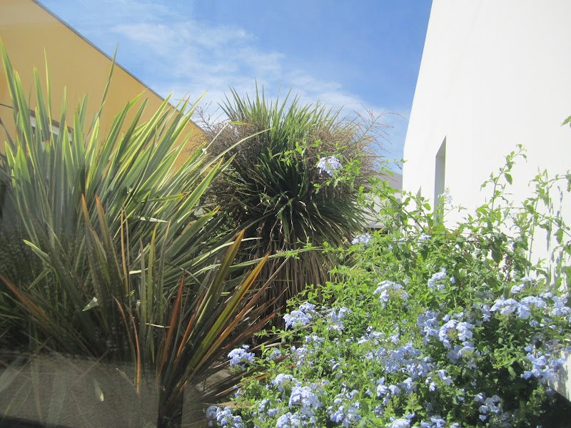 CHS LE MAS CAREIRON UZES