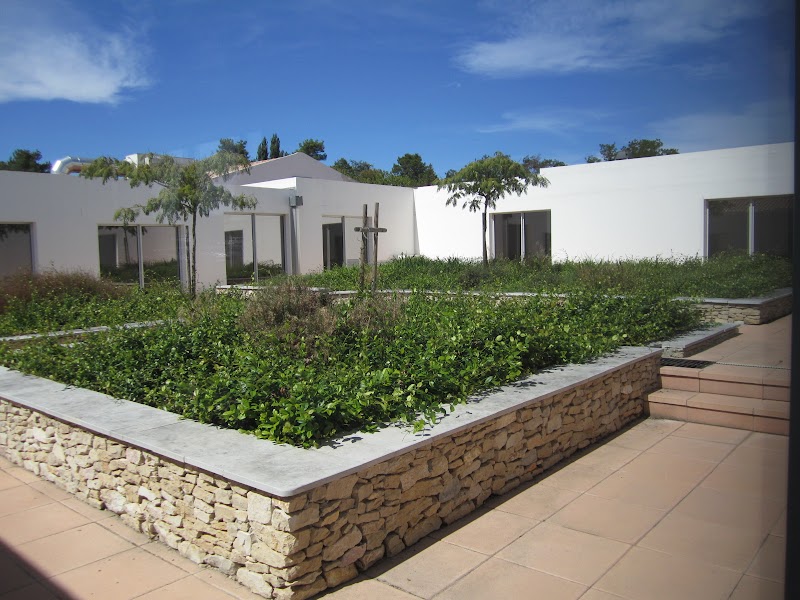 HJ PSY GEN ZARIFIAN UZES MAS CAREIRON