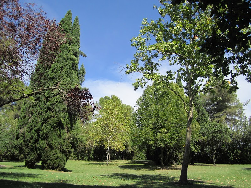 HJ PSY GEN ZARIFIAN UZES MAS CAREIRON