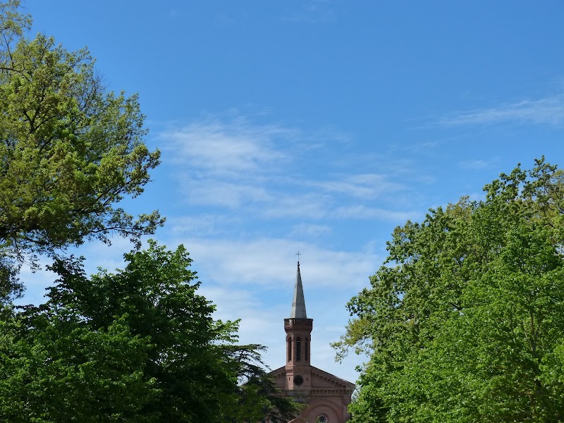 HJ ADULT-SSC ARNOULT TLSE