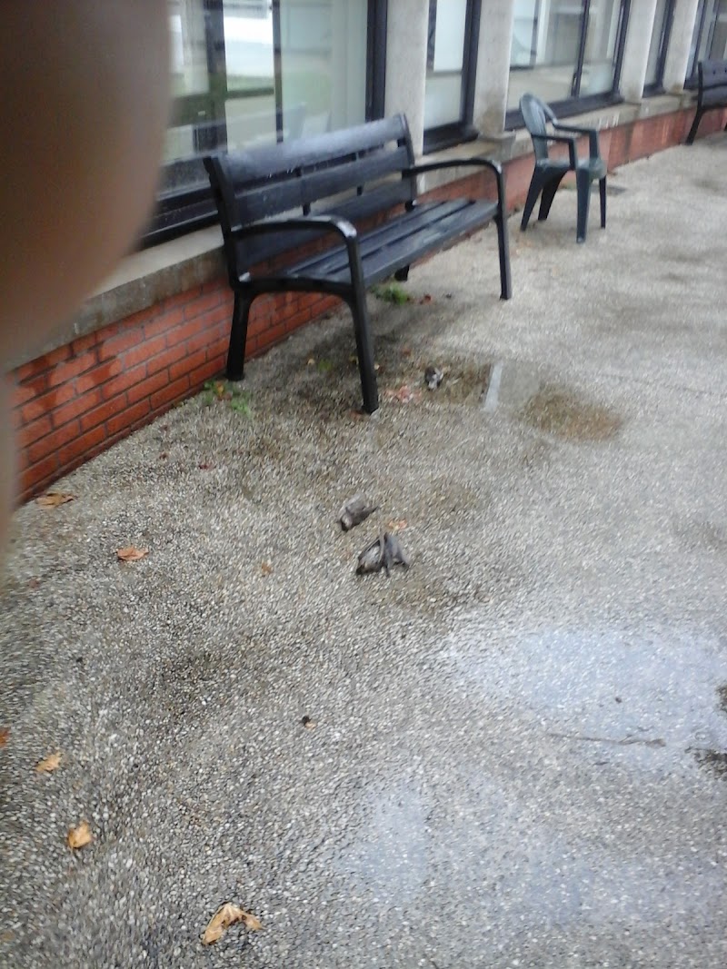 CMP - LA GUERCHE DE BRETAGNE