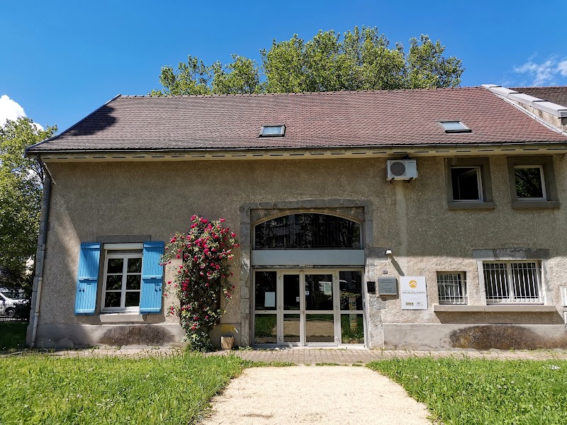 HJ ADOLESCENTS - ROGER MISES