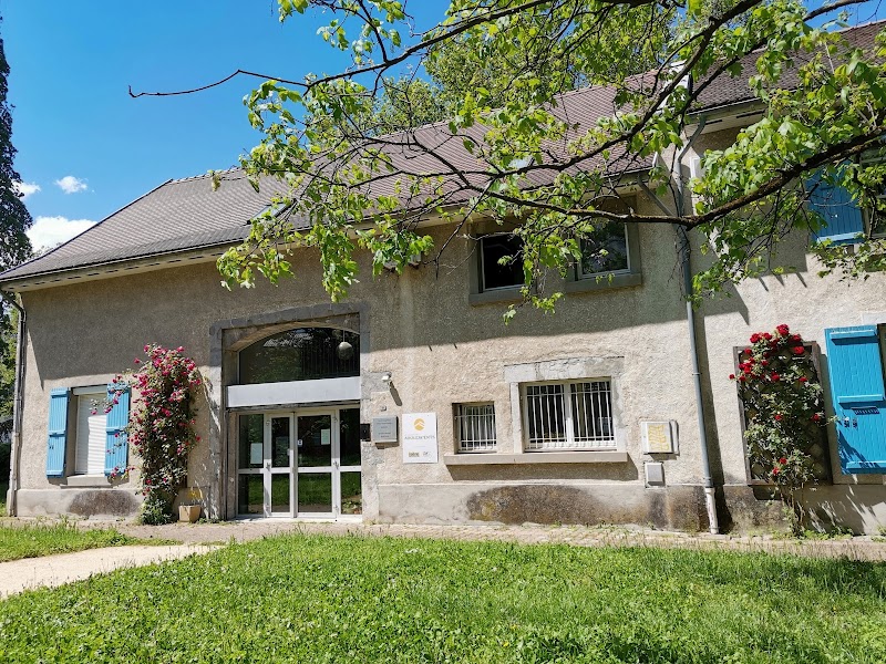 HJ ADOLESCENTS - ROGER MISES