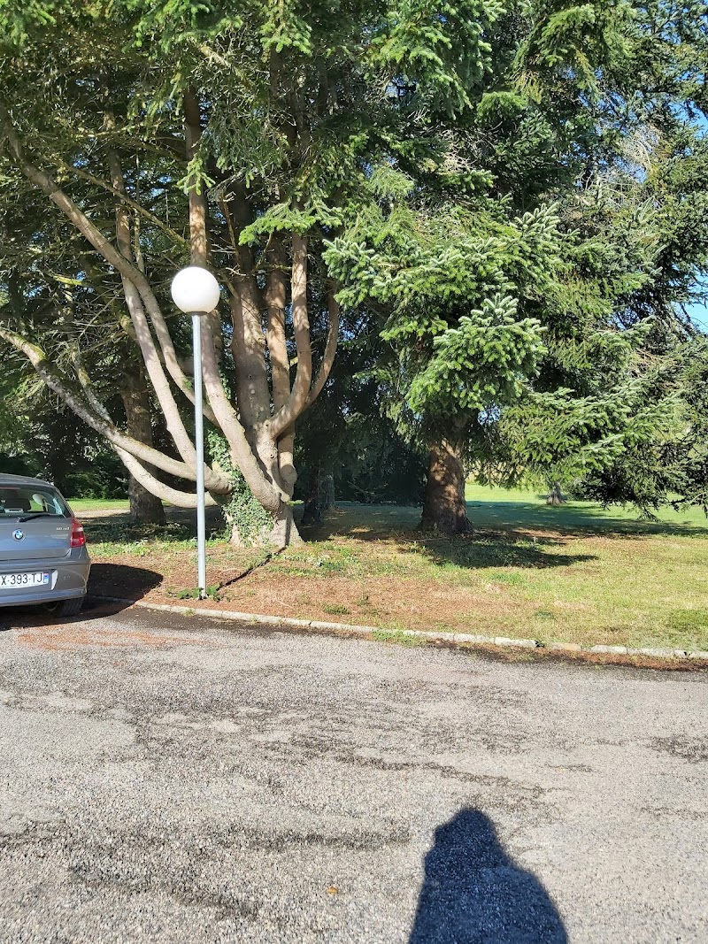 CHS JP FALRET LEYME PSY ET SMR