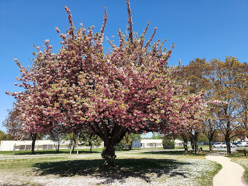 ETABT PUBLIC DE SANTE MENTALE  MARNE