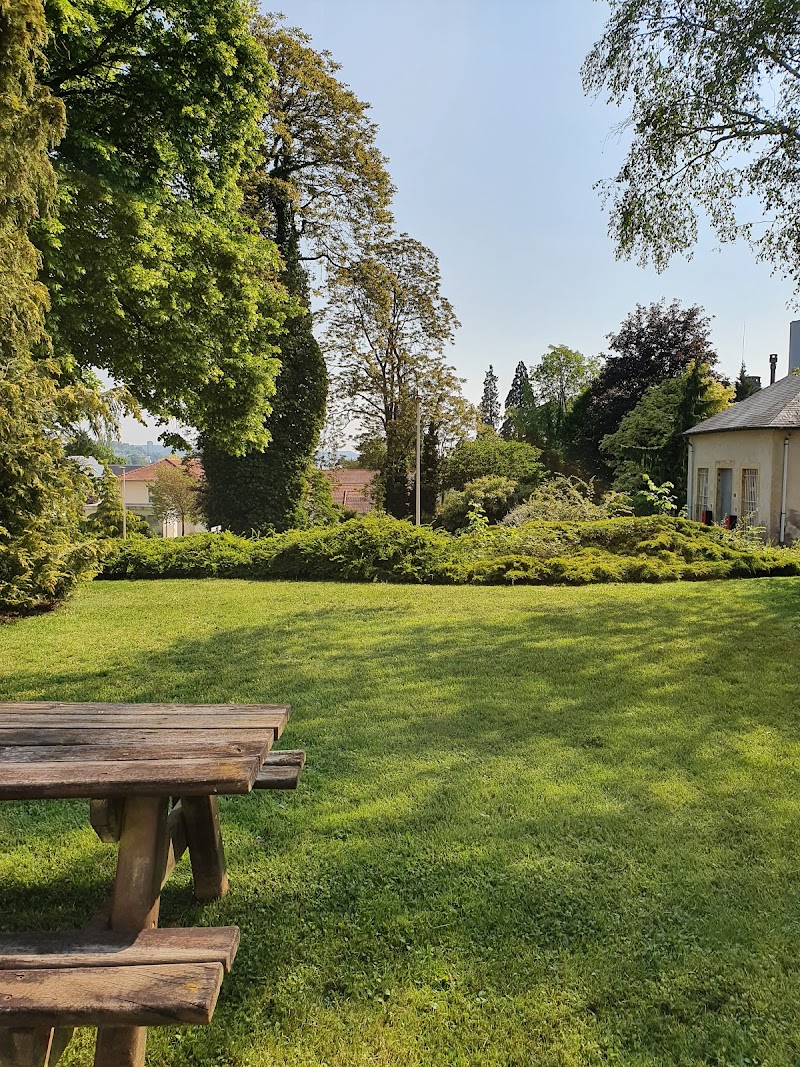CHS CENTRE PSYCHOTHERAPIQUE DE NANCY