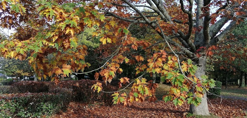 APPARTEMENT THERAPEUTIQUE SITE SENE