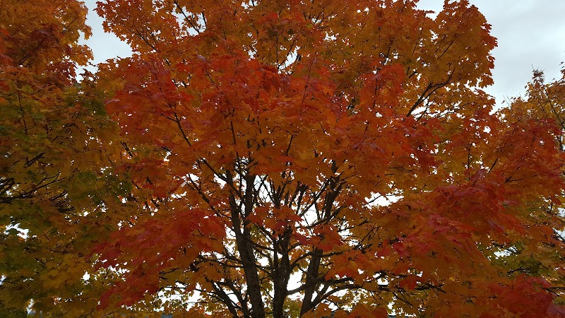 APPARTEMENT THERAPEUTIQUE SITE SENE