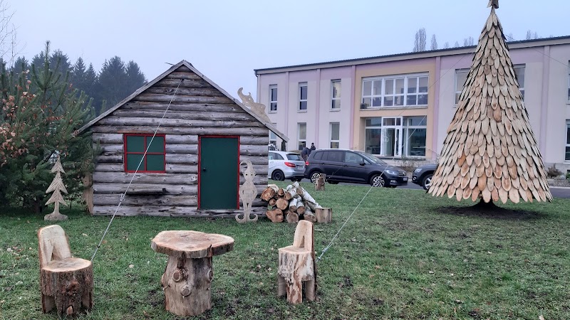 CHS DE SARREGUEMINES