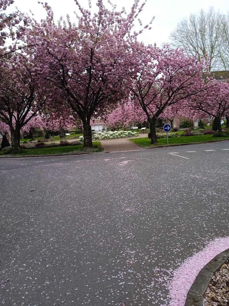 EPSM LILLE METROPOLE