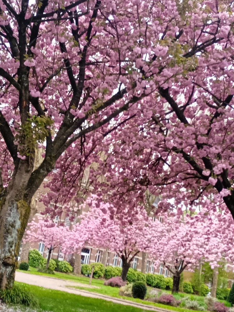 EPSM LILLE METROPOLE — vue