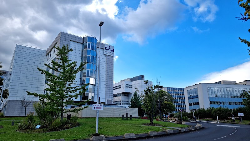 CHS HDJ PEA CFE — vue