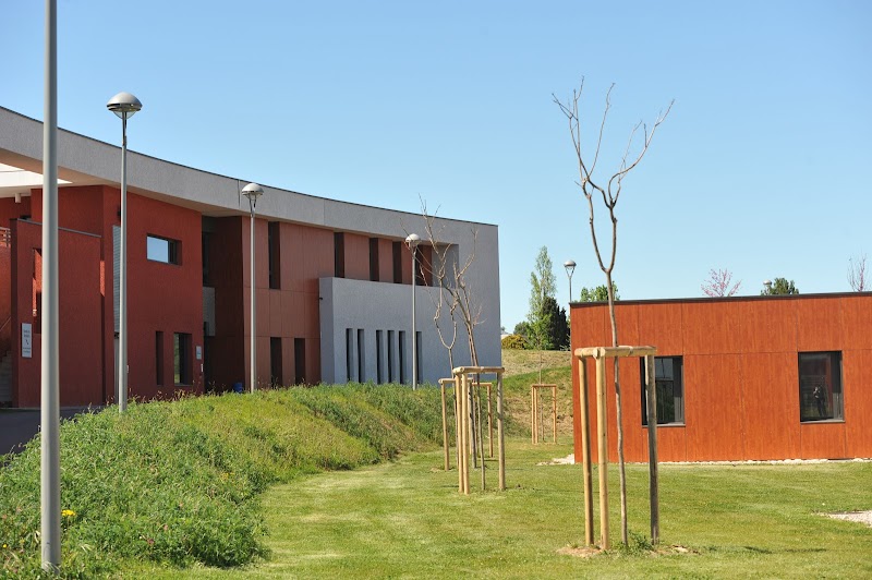 CHS LEON JEAN GREGORY THUIR