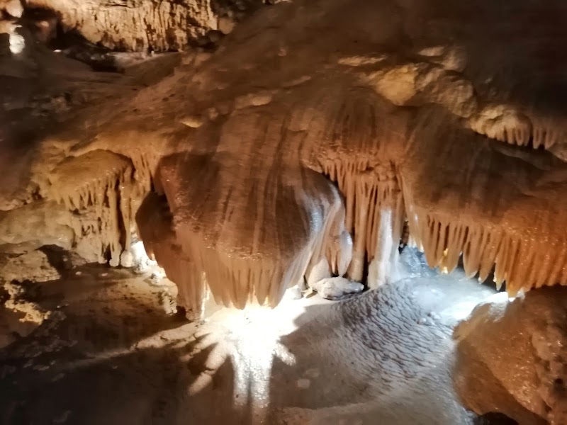 HJ ADULT-SSC PRADES — vue