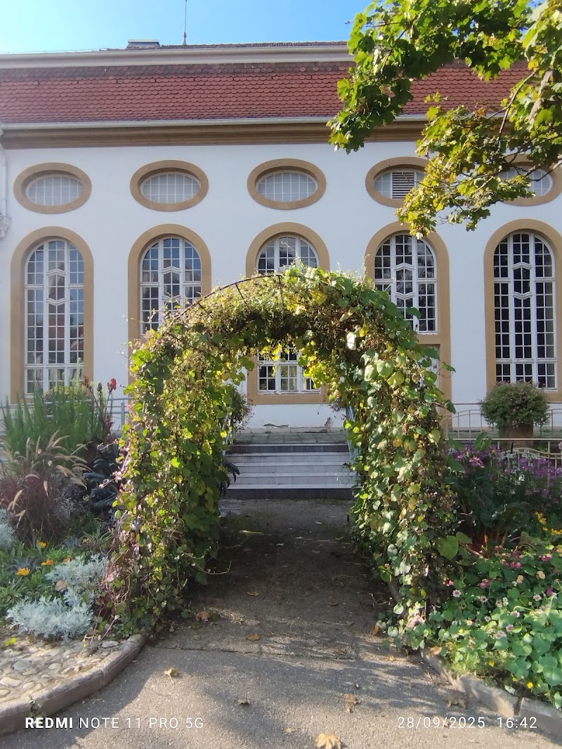 CENTRE HOSPITALIER DE ROUFFACH — vue