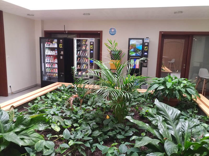 HOP JOUR GUEBWILLER 68 G CH ROUFFACH