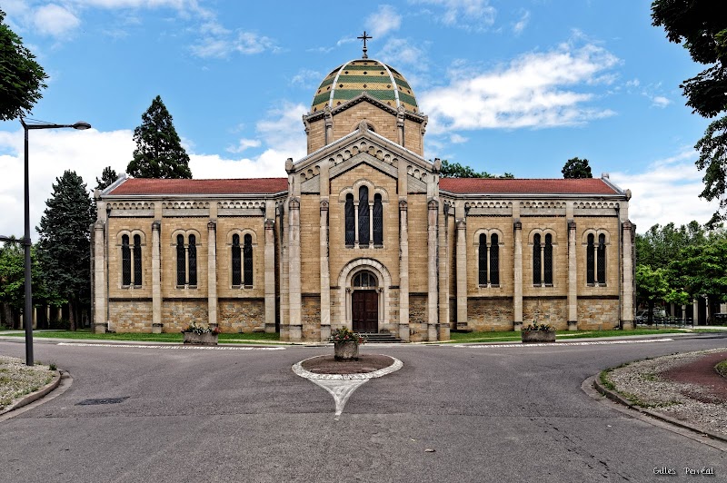 LE VINATIER PSY UNIV LYON METROPOLE