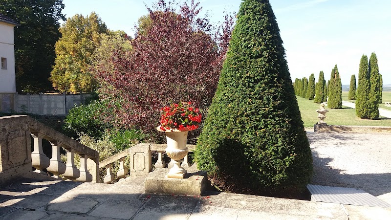 CHS ST REMY ET NFC SITE SAINT REMY — vue