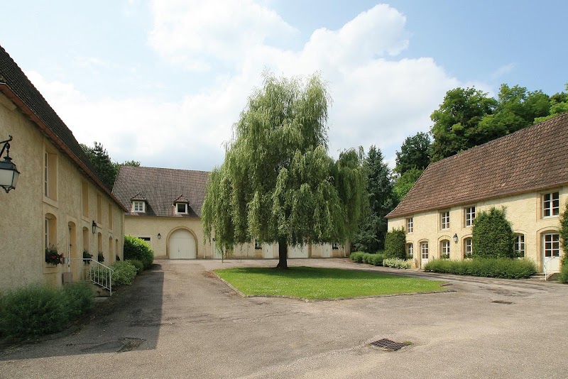 CHS ST REMY ET NFC SITE CLAIREFONTAINE