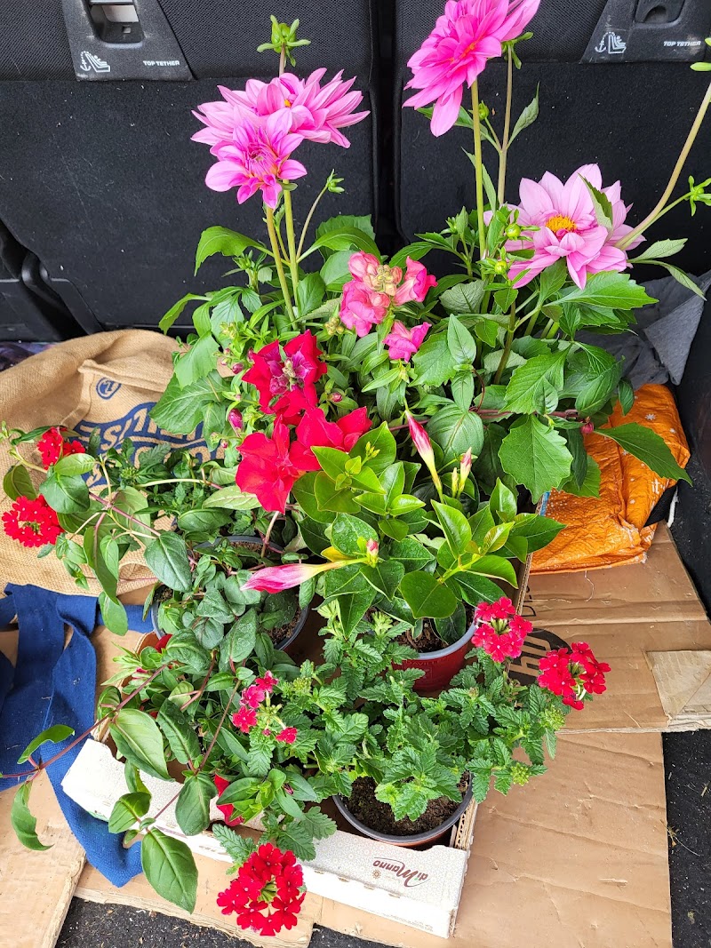 ATELIER THERAPEUTIQUE HORTICOLE OASIS