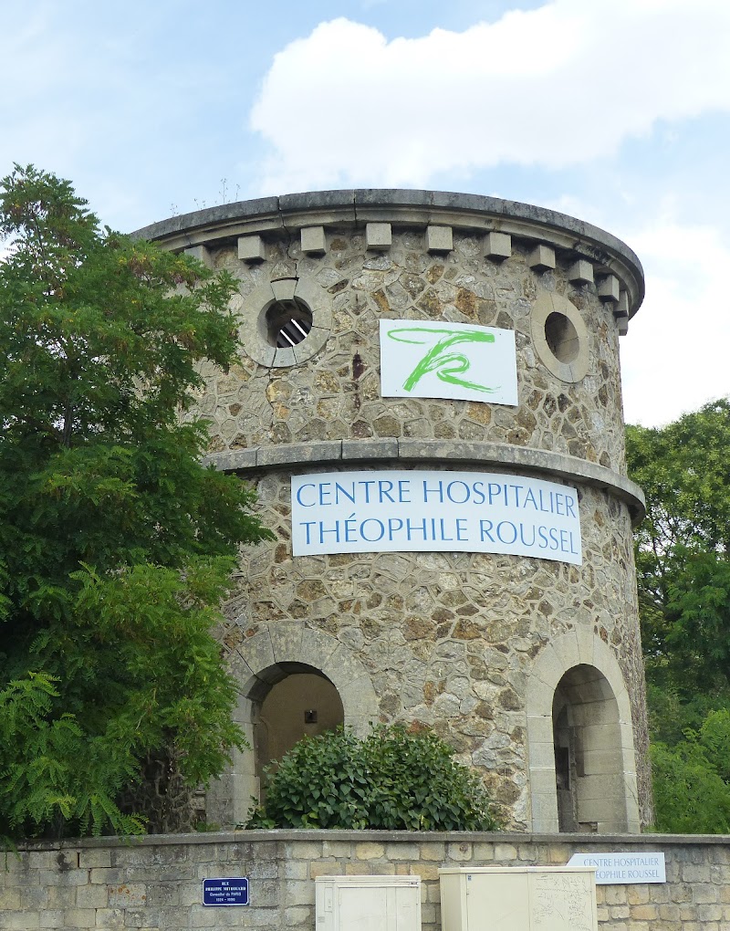 CHS THEOPHILE ROUSSEL