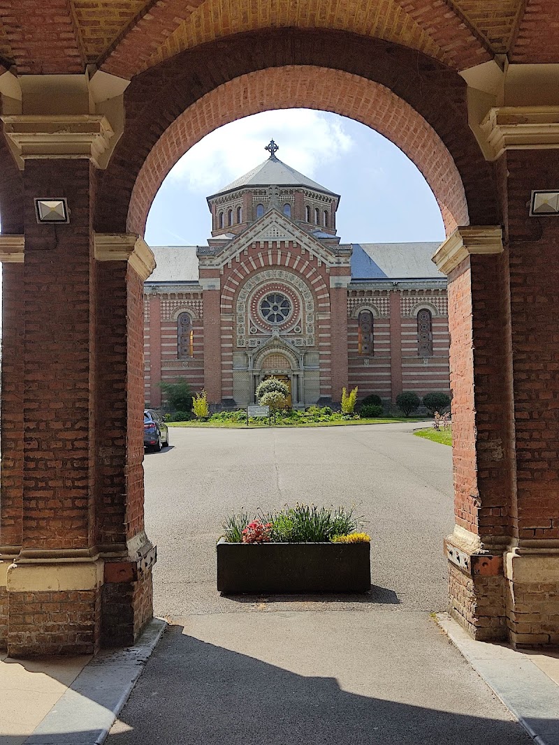 HDJ LES FOUGÈRES ADULTE