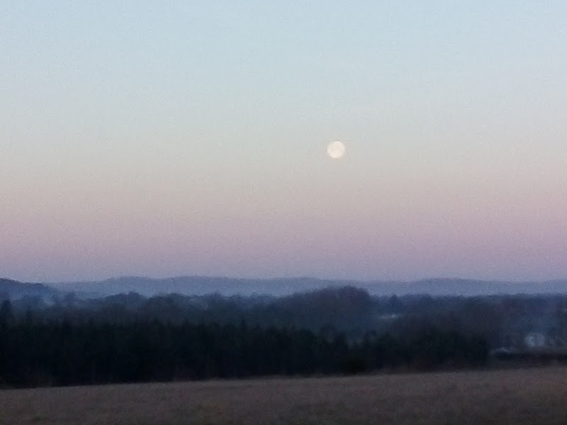 HJ PIJ ET PLAC FAM THERAP CASTRES — vue