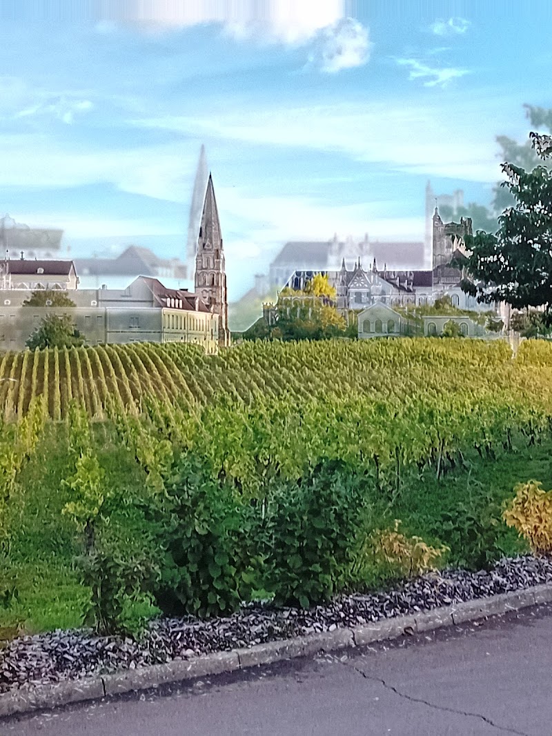 UNITE HOSPITALISATION MICHEL THUILLIER