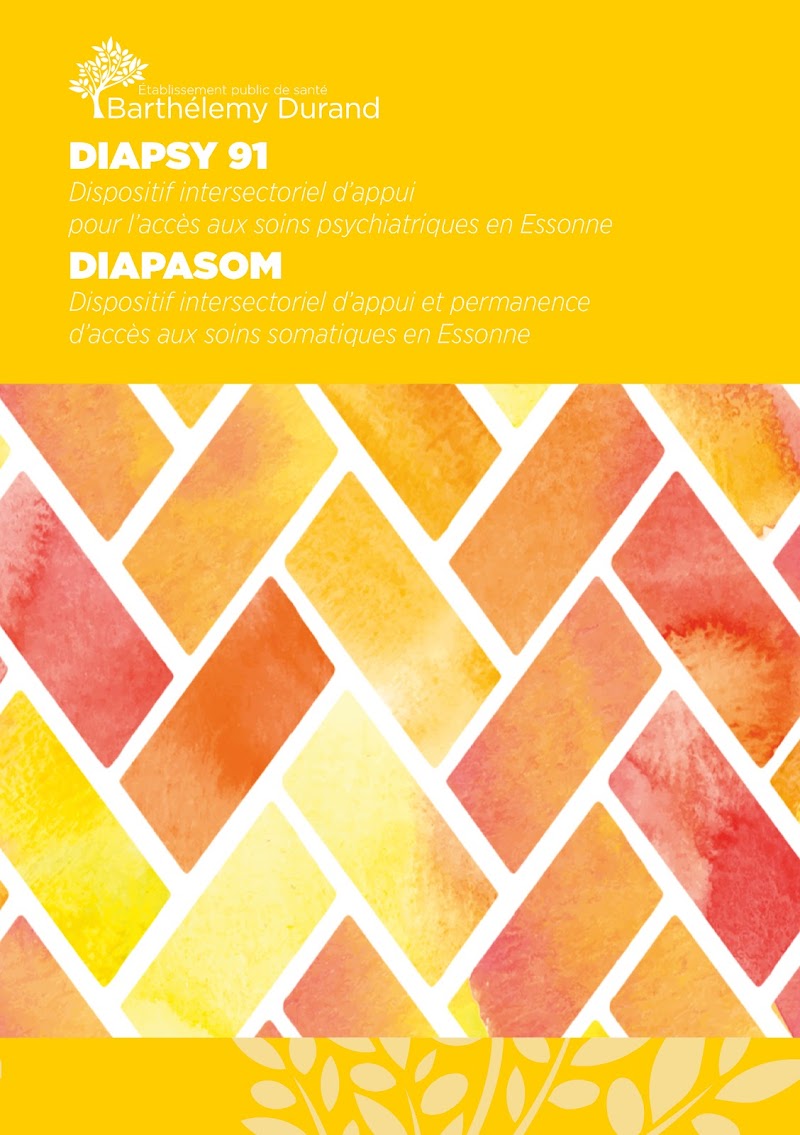 EQUIPE MOBILE DIAPSY 91