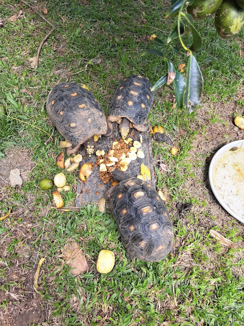 CENTRE ACTIVITE THERAPEUTIQUE