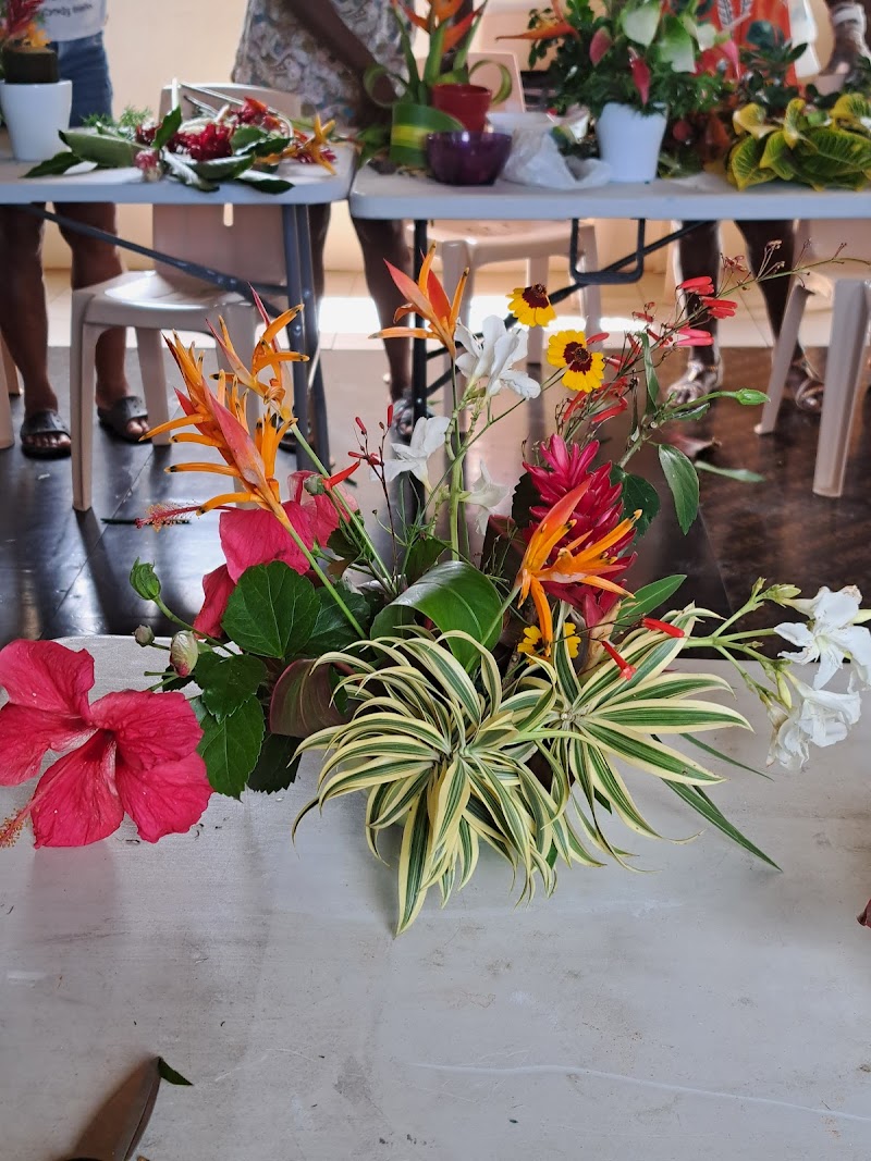 CENTRE ACTIVITE THERAPEUTIQUE — vue