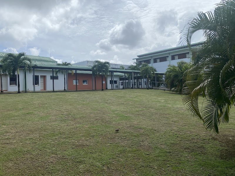 CHMD SITE DE MANGOT VULCIN