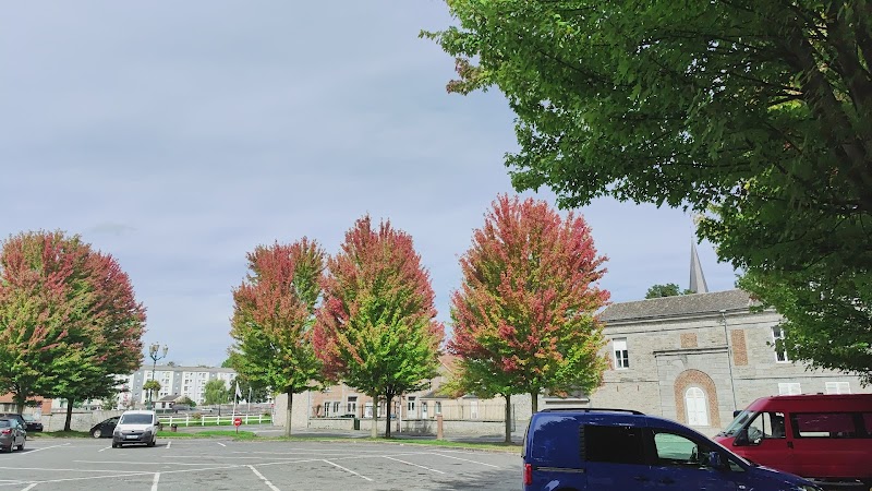 HJ/CATTP ADULTES MILLEPERTUIS