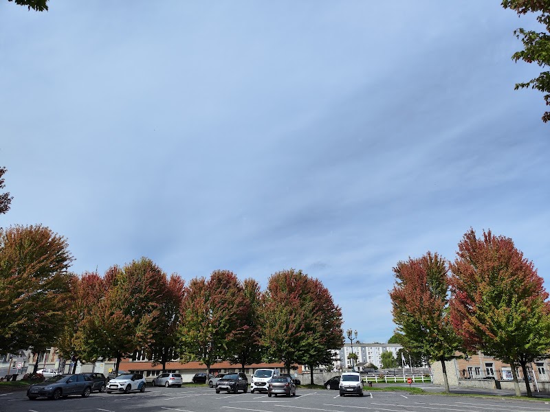 HJ/CATTP ADULTES MILLEPERTUIS